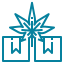 Apparel Boxes Icon